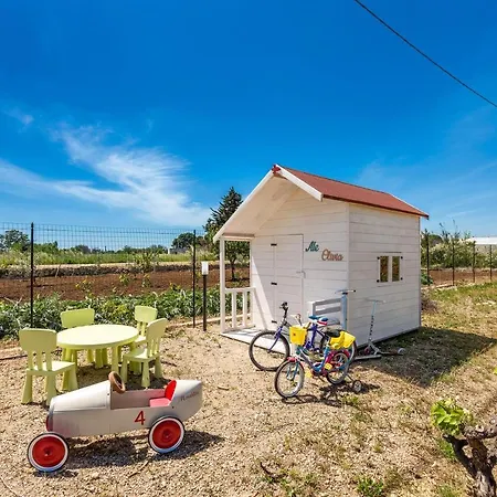 Il Neto By Barbarhouse