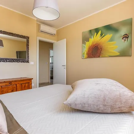 Il Neto By Barbarhouse