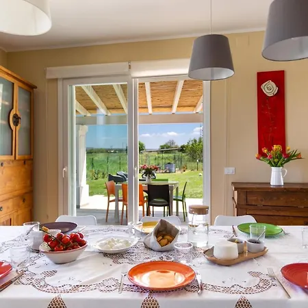 Il Neto By Barbarhouse