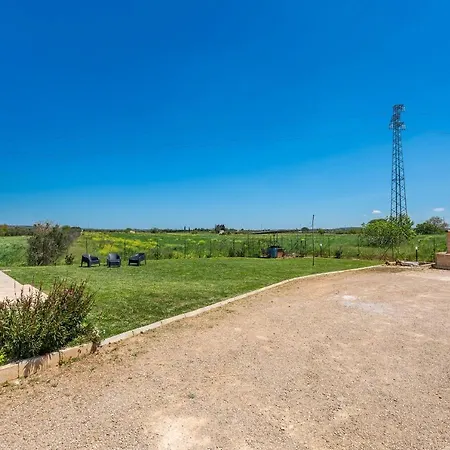 Il Neto By Barbarhouse