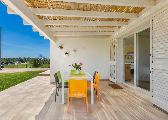 Il Neto By Barbarhouse *